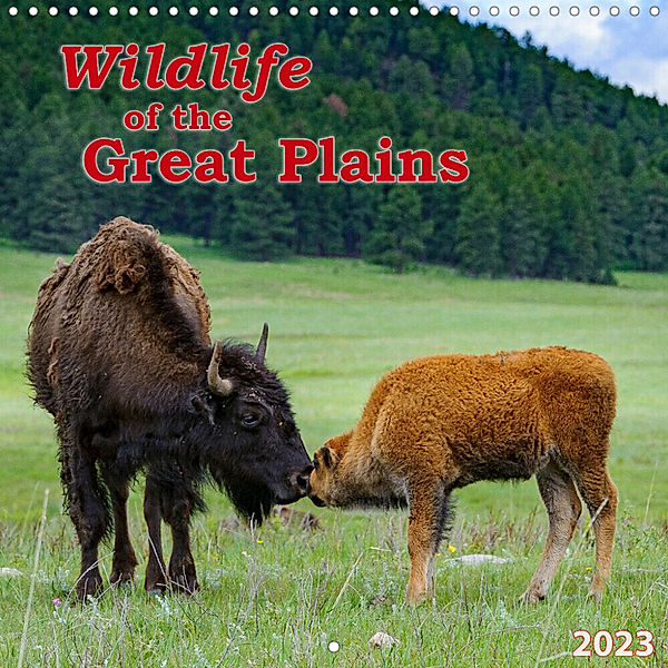 WILDLIFE of the GREAT PLAINS (Wall Calendar 2023 300 × 300 mm Square), Dieter Wilczek