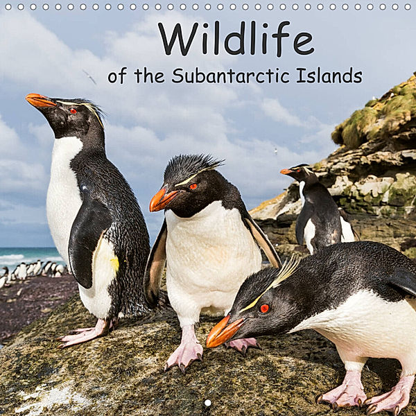 Wildlife of the Subantarctic Islands (Wall Calendar 2023 300 × 300 mm Square), Martin Zwick