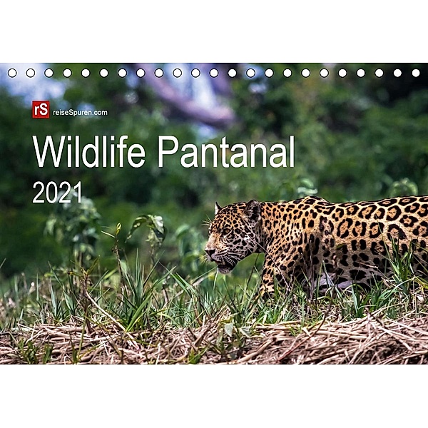 Wildlife Pantanal 2021 (Tischkalender 2021 DIN A5 quer), Uwe Bergwitz
