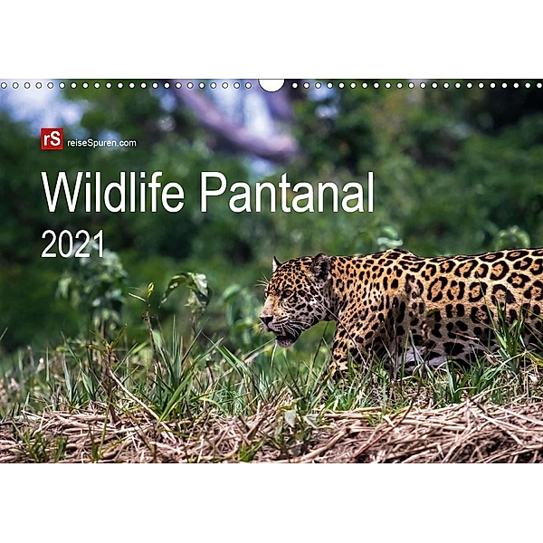 Wildlife Pantanal 2021 (Wandkalender 2021 DIN A3 quer), Uwe Bergwitz
