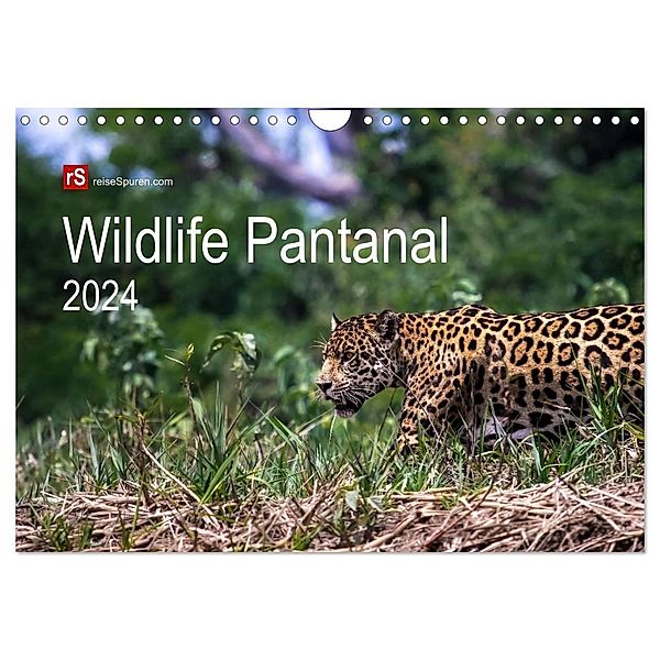 Wildlife Pantanal 2024 (Wandkalender 2024 DIN A4 quer), CALVENDO Monatskalender, Uwe Bergwitz
