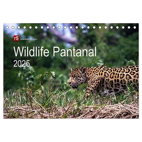 Wildlife Pantanal 2025 (Tischkalender 2025 DIN A5 quer), CALVENDO Monatskalender, Calvendo, Uwe Bergwitz