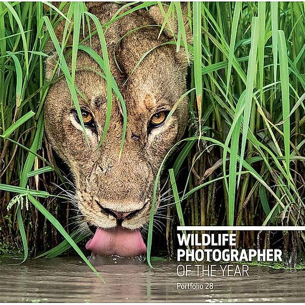 Wildlife Photographer of the Year.Portfolio.28, Rosamund Kidman Cox