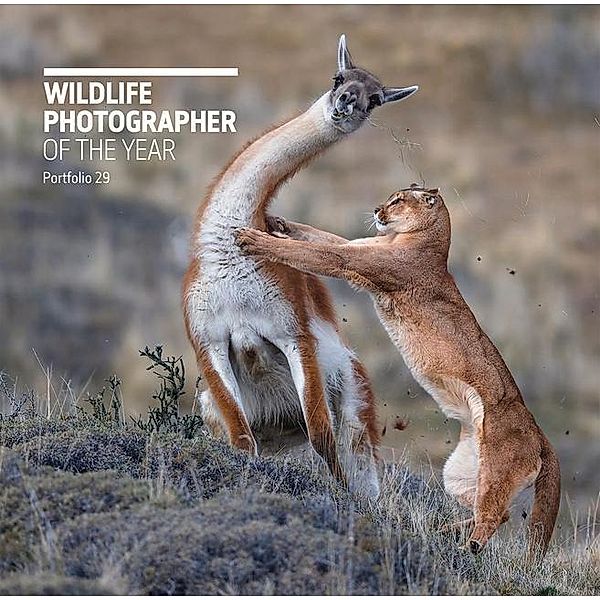 Wildlife Photographer of the Year: Portfolio 29, Rosamund Kidman Cox