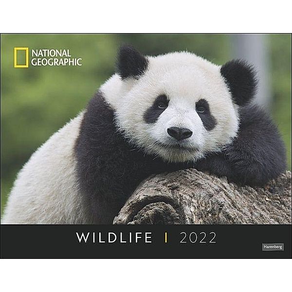 Wildlife Posterkalender National Geographic 2022