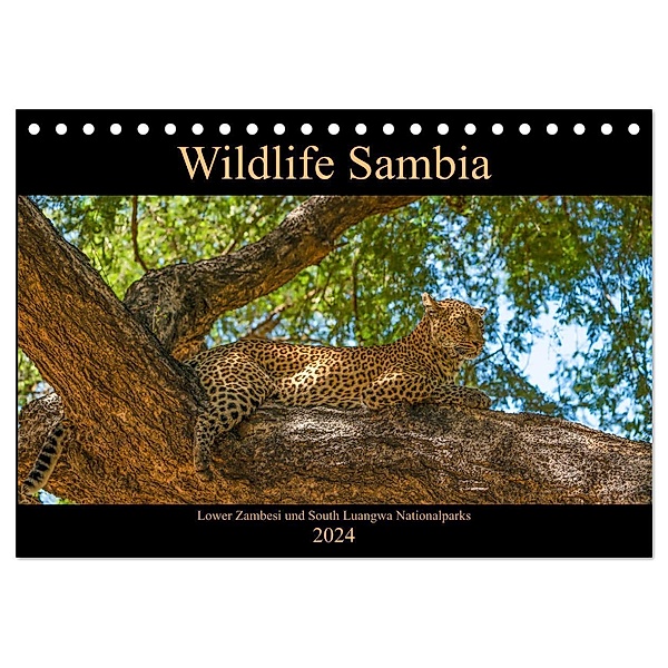 Wildlife Sambia (Tischkalender 2024 DIN A5 quer), CALVENDO Monatskalender, Photo4emotion.com