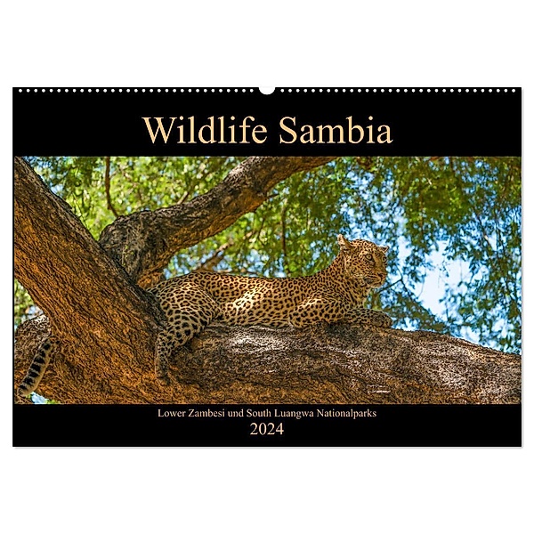 Wildlife Sambia (Wandkalender 2024 DIN A2 quer), CALVENDO Monatskalender, Photo4emotion.com