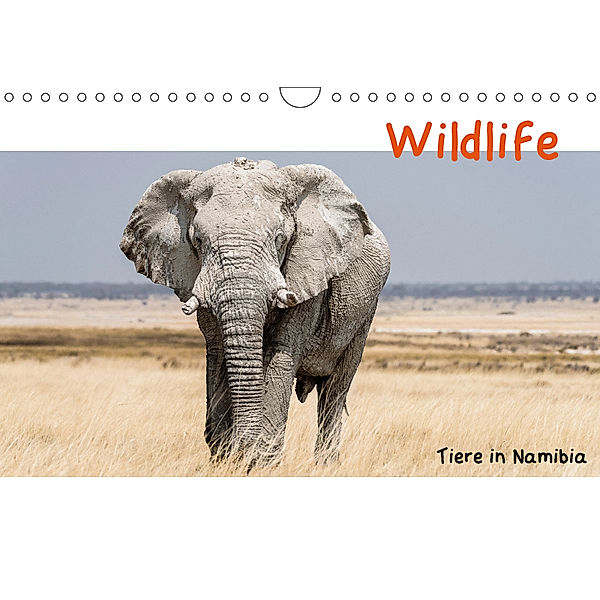 Wildlife - Tiere in Namibia (Wandkalender 2019 DIN A4 quer), Matthias Kunert