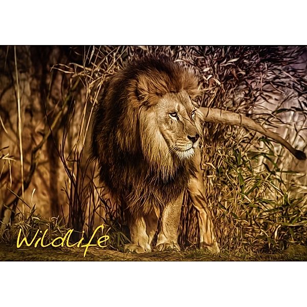 Wildlife (Tischaufsteller DIN A5 quer), Michael Stenger