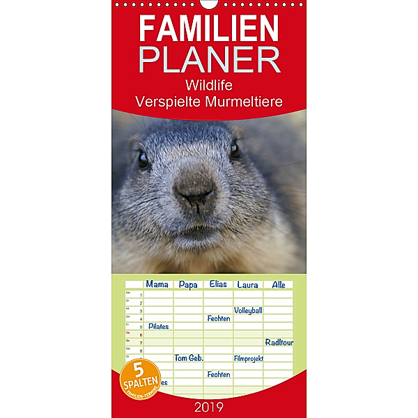 Wildlife - Verspielte Murmeltiere - Familienplaner hoch (Wandkalender 2019 , 21 cm x 45 cm, hoch), Susan Michel / CH