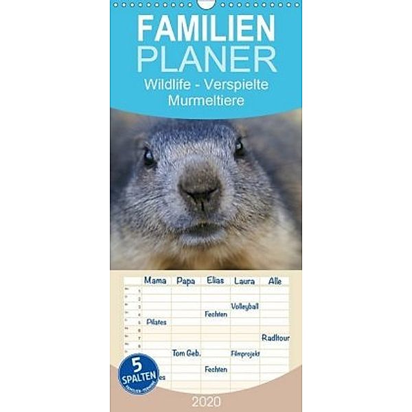 Wildlife - Verspielte Murmeltiere - Familienplaner hoch (Wandkalender 2020 , 21 cm x 45 cm, hoch), Susan Michel / CH