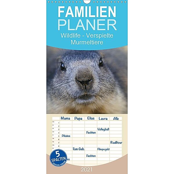 Wildlife - Verspielte Murmeltiere - Familienplaner hoch (Wandkalender 2021 , 21 cm x 45 cm, hoch), Susan Michel / CH