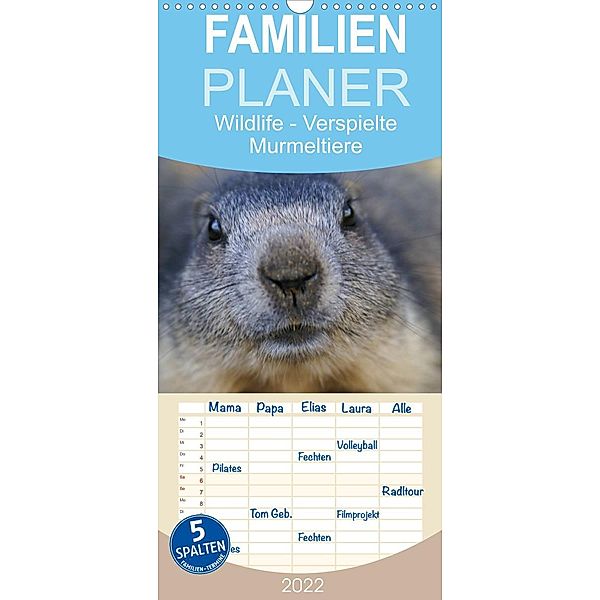 Wildlife - Verspielte Murmeltiere - Familienplaner hoch (Wandkalender 2022 , 21 cm x 45 cm, hoch), Susan Michel / CH