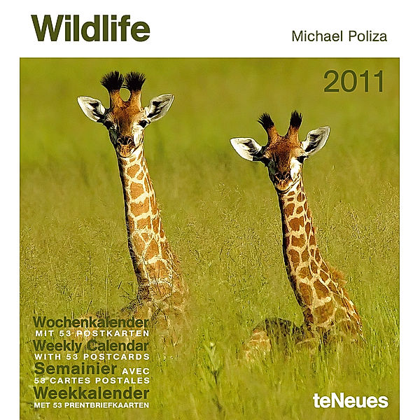 Wildlife, Wochenkalender 2011, Michael Poliza