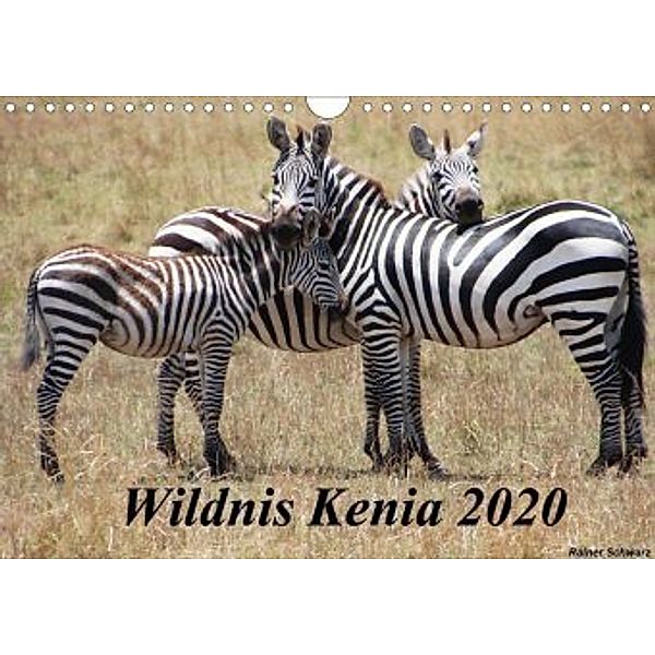 Wildnis Kenia 2020 (Wandkalender 2020 DIN A4 quer), Rainer Schwarz