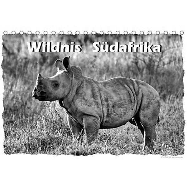 Wildnis Südafrika (Tischkalender 2022 DIN A5 quer), Guido Wulf