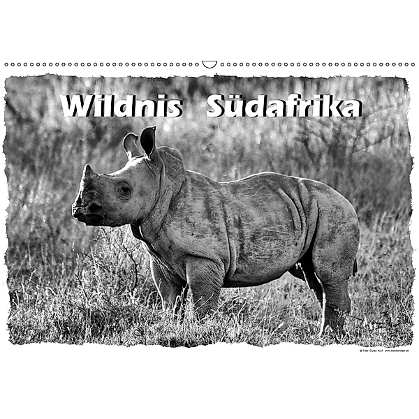 Wildnis Südafrika (Wandkalender 2019 DIN A2 quer), Guido Wulf