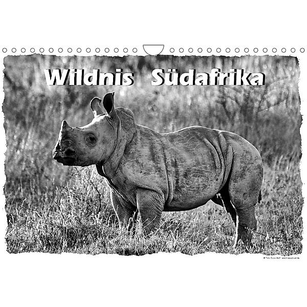 Wildnis Südafrika (Wandkalender 2023 DIN A4 quer), Guido Wulf