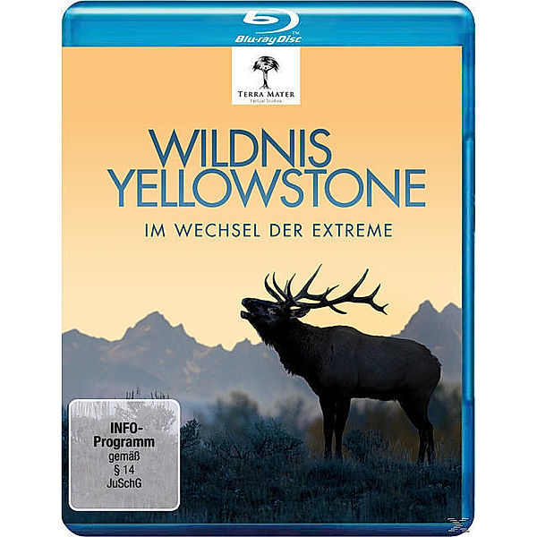 Wildnis Yellowstone-im Wechsel der Extreme