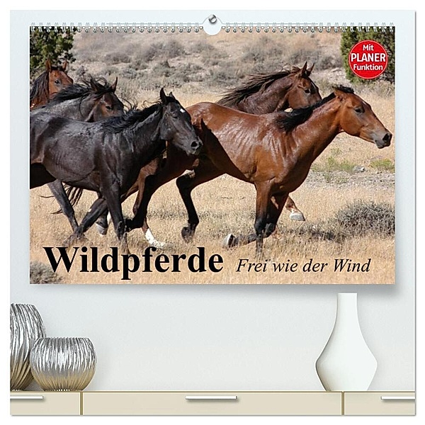 Wildpferde. Frei wie der Wind (hochwertiger Premium Wandkalender 2024 DIN A2 quer), Kunstdruck in Hochglanz, Elisabeth Stanzer