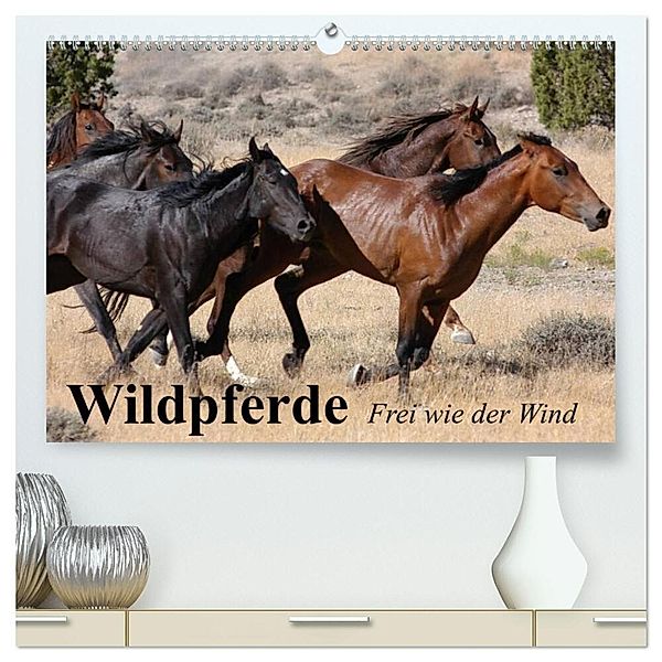 Wildpferde. Frei wie der Wind (hochwertiger Premium Wandkalender 2025 DIN A2 quer), Kunstdruck in Hochglanz, Calvendo, Elisabeth Stanzer