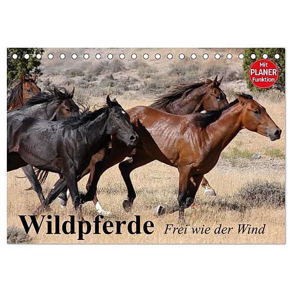 Wildpferde. Frei wie der Wind (Tischkalender 2024 DIN A5 quer), CALVENDO Monatskalender, Elisabeth Stanzer