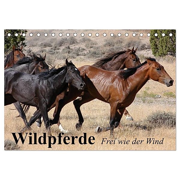 Wildpferde. Frei wie der Wind (Tischkalender 2024 DIN A5 quer), CALVENDO Monatskalender, Elisabeth Stanzer