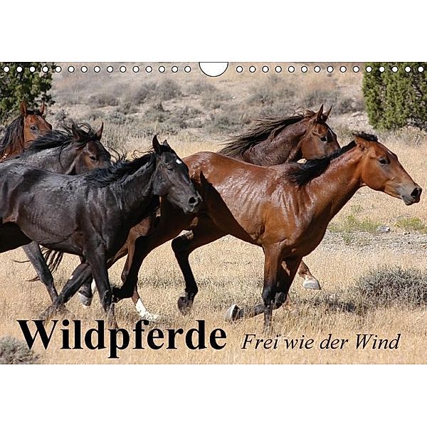 Wildpferde. Frei wie der Wind (Wandkalender 2017 DIN A4 quer), Elisabeth Stanzer