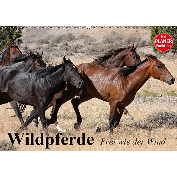 Wildpferde. Frei wie der Wind (Wandkalender 2019 DIN A2 quer), Elisabeth Stanzer