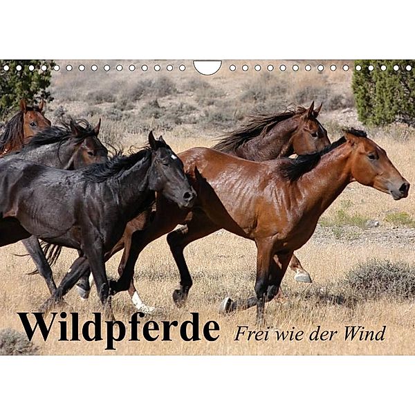 Wildpferde. Frei wie der Wind (Wandkalender 2023 DIN A4 quer), Elisabeth Stanzer