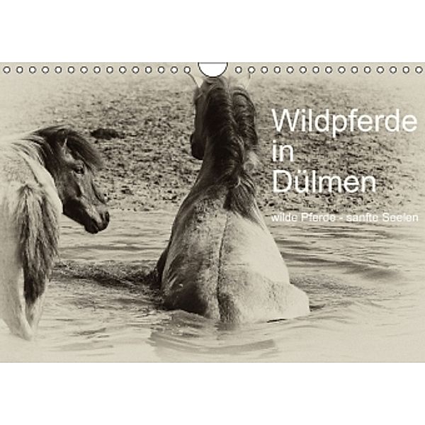 Wildpferde in Dülmen/ wilde Pferde - sanfte Seelen (Wandkalender 2015 DIN A4 quer), Karin Dederichs