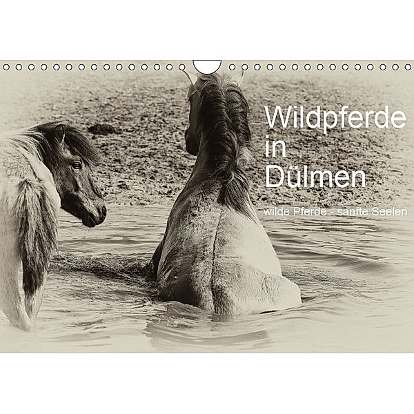 Wildpferde in Dülmen/ wilde Pferde - sanfte Seelen (Wandkalender 2019 DIN A4 quer), Karin Dederichs