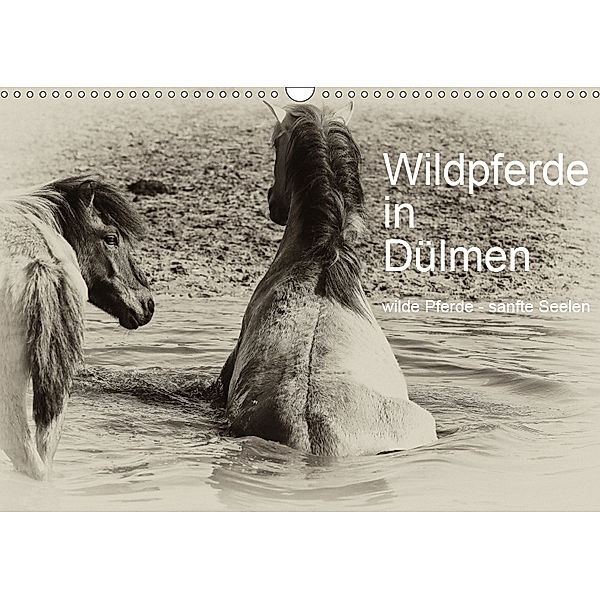 Wildpferde in Dülmen/ wilde Pferde - sanfte Seelen (Wandkalender 2019 DIN A3 quer), Karin Dederichs