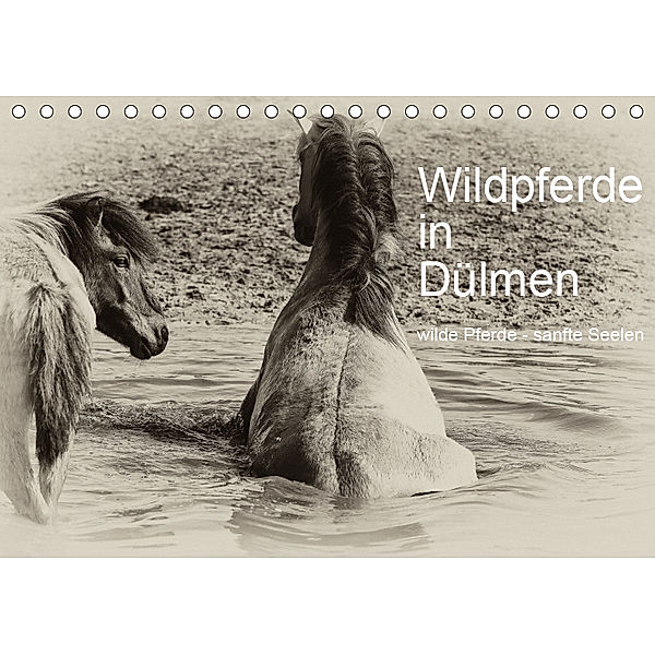 Wildpferde in Dülmen/ wilde Pferde - sanfte Seelen (Tischkalender 2019 DIN A5 quer), Karin Dederichs