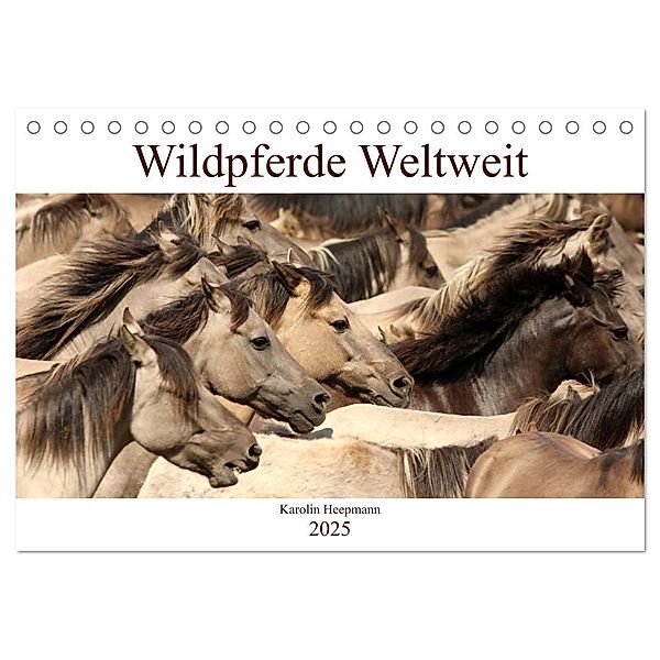 Wildpferde Weltweit (Tischkalender 2025 DIN A5 quer), CALVENDO Monatskalender, Calvendo, Karolin Heepmann - www.Karo-Fotos.de