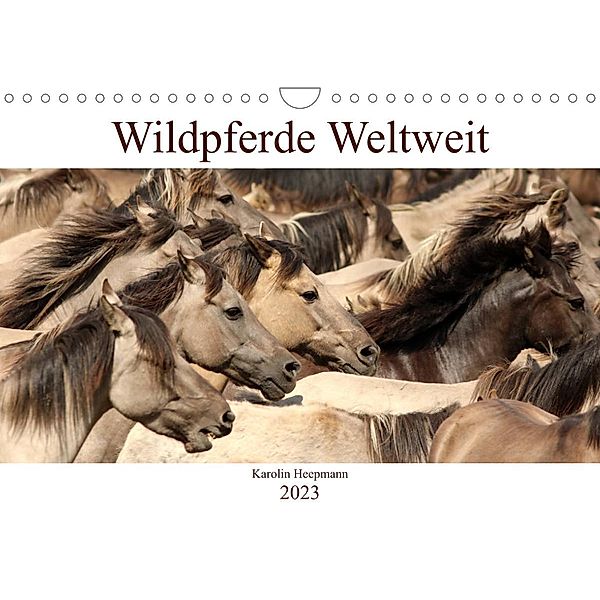 Wildpferde Weltweit (Wandkalender 2023 DIN A4 quer), Karolin Heepmann - www.Karo-Fotos.de