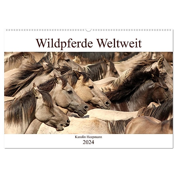 Wildpferde Weltweit (Wandkalender 2024 DIN A2 quer), CALVENDO Monatskalender, Karolin Heepmann - www.Karo-Fotos.de