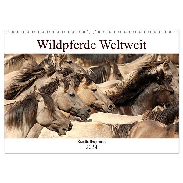 Wildpferde Weltweit (Wandkalender 2024 DIN A3 quer), CALVENDO Monatskalender, Karolin Heepmann - www.Karo-Fotos.de