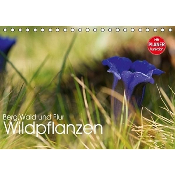 Wildpflanzen - Berg, Wald und Flur (Tischkalender 2016 DIN A5 quer), Georg Niederkofler