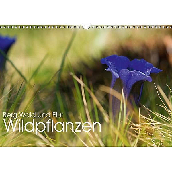 Wildpflanzen - Berg, Wald und Flur (Wandkalender 2019 DIN A3 quer), Georg Niederkofler