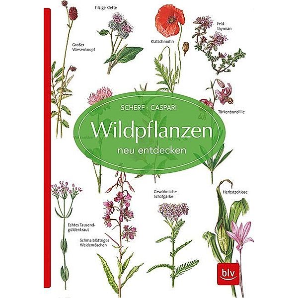 Wildpflanzen neu entdecken, Gertrud Scherf, Claus Caspari