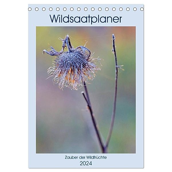 Wildsaatplaner - Zauber der Wildfrüchte (Tischkalender 2024 DIN A5 hoch), CALVENDO Monatskalender, Clemens Stenner