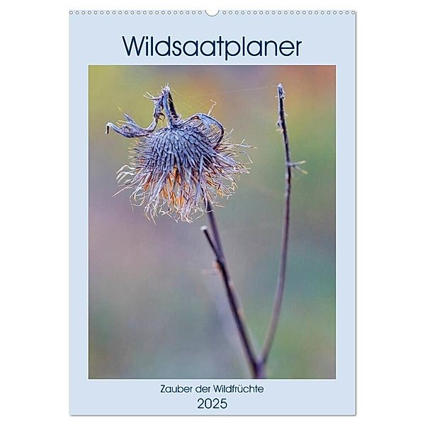 Wildsaatplaner - Zauber der Wildfrüchte (Wandkalender 2025 DIN A2 hoch), CALVENDO Monatskalender, Calvendo, Clemens Stenner