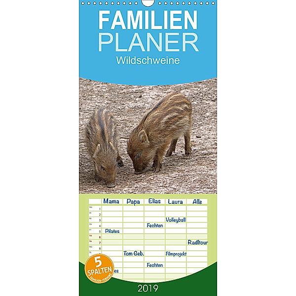 Wildschweine - Familienplaner hoch (Wandkalender 2019 , 21 cm x 45 cm, hoch), Martina Berg