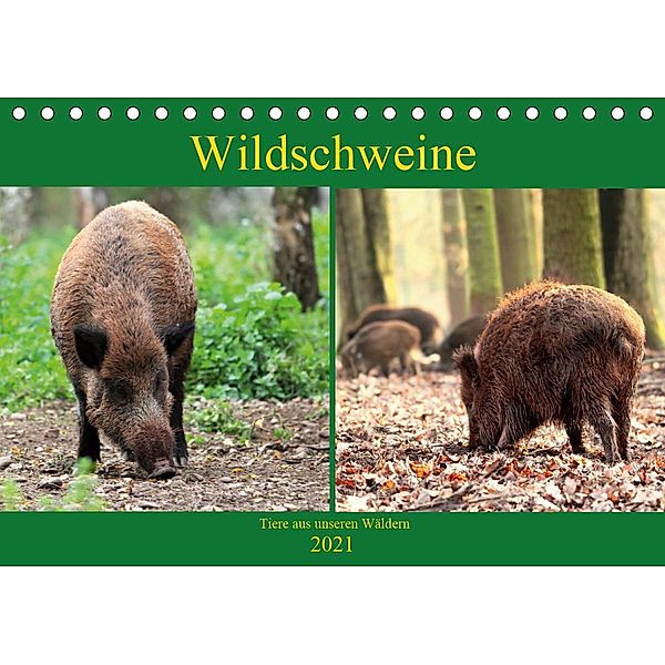 Wildschweine - Tiere aus unseren Wäldern (Tischkalender 2021 DIN A5 quer), Arno Klatt