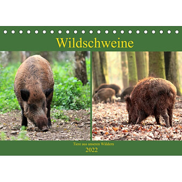Wildschweine - Tiere aus unseren Wäldern (Tischkalender 2022 DIN A5 quer), Arno Klatt