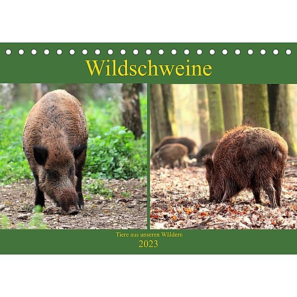 Wildschweine - Tiere aus unseren Wäldern (Tischkalender 2023 DIN A5 quer), Arno Klatt