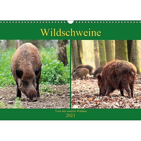 Wildschweine - Tiere aus unseren Wäldern (Wandkalender 2021 DIN A3 quer), Arno Klatt