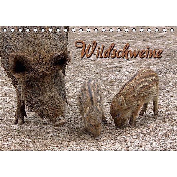Wildschweine (Tischkalender 2014 DIN A5 quer), Martina Berg