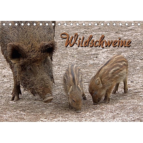 Wildschweine (Tischkalender 2017 DIN A5 quer), Martina Berg